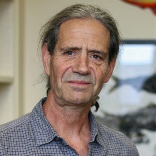 Photo of Maia Chankseliani, PhD